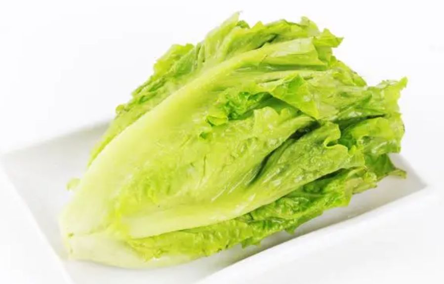 生菜